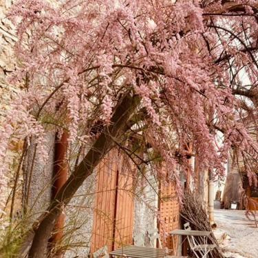 Gite Brin De Nature Au Coeur De La Nature Bugiste Amberieu-en-Bugey Ngoại thất bức ảnh